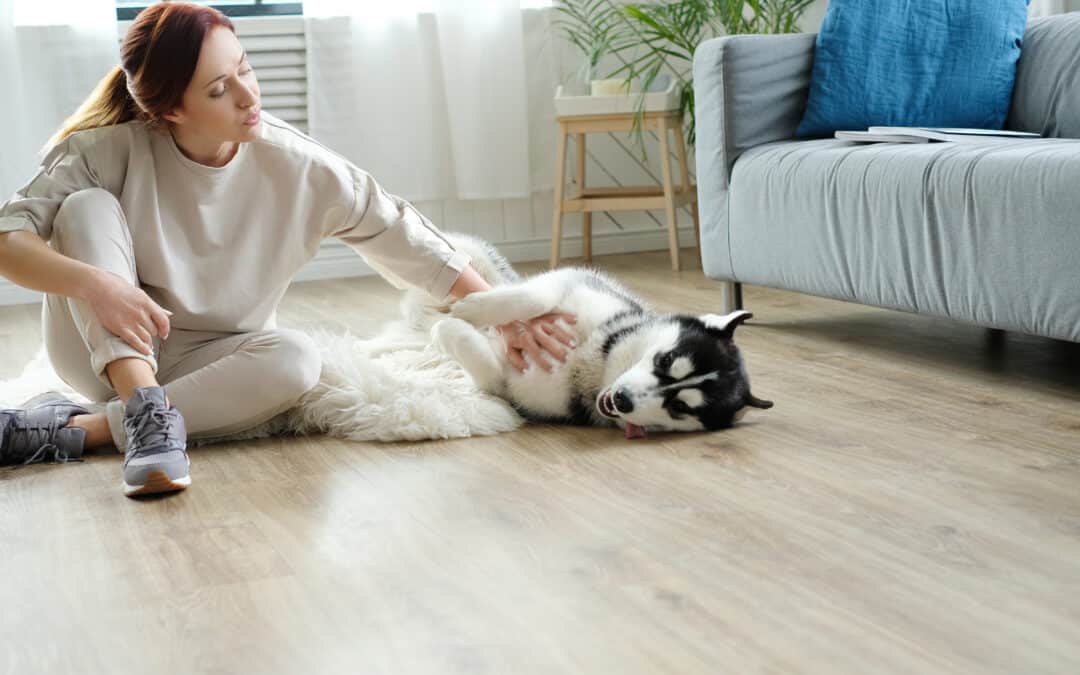 Vinyl Flooring for Pets: The Toscana Remodeling Guide to Durable Flooring